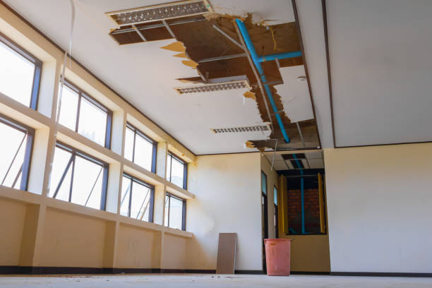 Reliable Bardstown, KY Water damage restoration Solutions