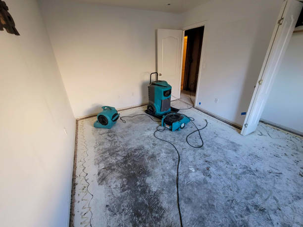 Best Water damage restoration near me  in Bardstown, KY