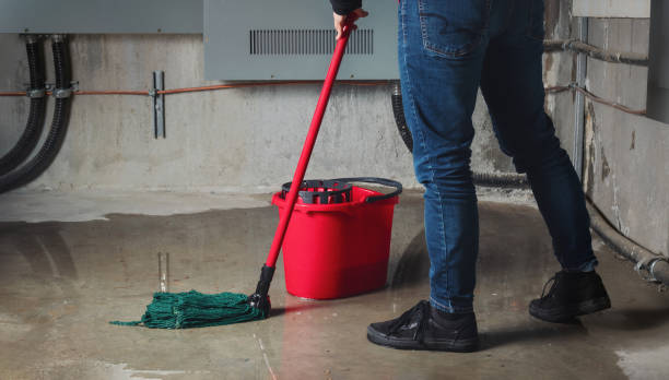 Best 24/7 water damage repair  in Bardstown, KY