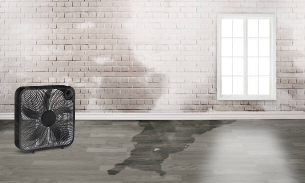  Bardstown, KY Water damage restoration Pros