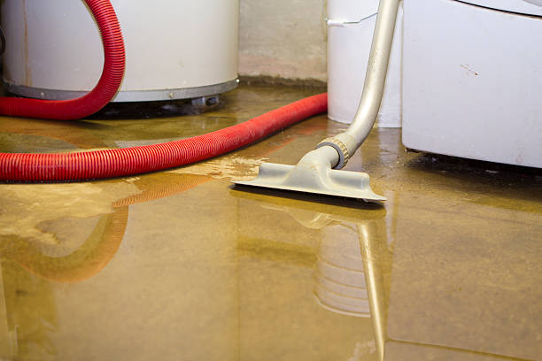 Best Ceiling water damage repair  in Bardstown, KY