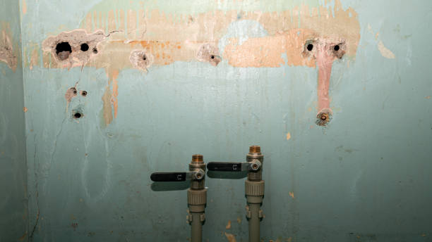 Best Water damage restoration near me  in Bardstown, KY