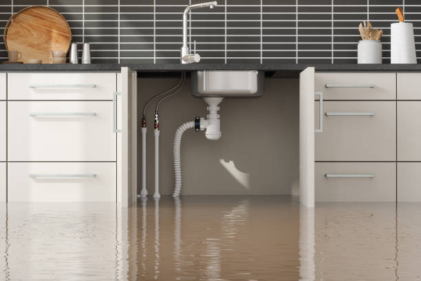 Best 24/7 water damage repair  in Bardstown, KY